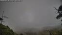 ./images/calvert/fitz-hugh-hecate/20250701/fitz-hugh-hecate20250701_203508M.jpg