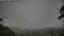 ./images/calvert/fitz-hugh-hecate/20250701/fitz-hugh-hecate20250701_204009M.jpg