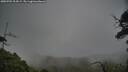 ./images/calvert/fitz-hugh-hecate/20250701/fitz-hugh-hecate20250701_204509M.jpg