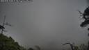 ./images/calvert/fitz-hugh-hecate/20250701/fitz-hugh-hecate20250701_205009M.jpg