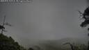 ./images/calvert/fitz-hugh-hecate/20250701/fitz-hugh-hecate20250701_205507M.jpg