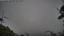 ./images/calvert/fitz-hugh-hecate/20250701/fitz-hugh-hecate20250701_210009M.jpg
