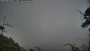 ./images/calvert/fitz-hugh-hecate/20250701/fitz-hugh-hecate20250701_210506M.jpg