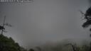 ./images/calvert/fitz-hugh-hecate/20250701/fitz-hugh-hecate20250701_211507M.jpg