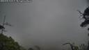 ./images/calvert/fitz-hugh-hecate/20250701/fitz-hugh-hecate20250701_212509M.jpg
