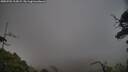 ./images/calvert/fitz-hugh-hecate/20250701/fitz-hugh-hecate20250701_213009M.jpg