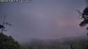 ./images/calvert/fitz-hugh-hecate/20250701/fitz-hugh-hecate20250701_214009M.jpg