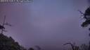 ./images/calvert/fitz-hugh-hecate/20250701/fitz-hugh-hecate20250701_215009M.jpg