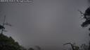 ./images/calvert/fitz-hugh-hecate/20250701/fitz-hugh-hecate20250701_221009M.jpg