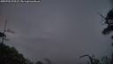 ./images/calvert/fitz-hugh-hecate/20250701/fitz-hugh-hecate20250701_222508M.jpg