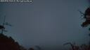 ./images/calvert/fitz-hugh-hecate/20250701/fitz-hugh-hecate20250701_223507M.jpg