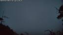 ./images/calvert/fitz-hugh-hecate/20250701/fitz-hugh-hecate20250701_224008M.jpg