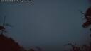 ./images/calvert/fitz-hugh-hecate/20250701/fitz-hugh-hecate20250701_224509M.jpg