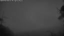 ./images/calvert/fitz-hugh-hecate/20250702/fitz-hugh-hecate20250702_043507M.jpg