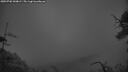 ./images/calvert/fitz-hugh-hecate/20250702/fitz-hugh-hecate20250702_044009M.jpg