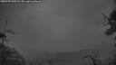 ./images/calvert/fitz-hugh-hecate/20250702/fitz-hugh-hecate20250702_044508M.jpg