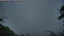 ./images/calvert/fitz-hugh-hecate/20250702/fitz-hugh-hecate20250702_050009M.jpg