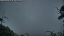 ./images/calvert/fitz-hugh-hecate/20250702/fitz-hugh-hecate20250702_050507M.jpg