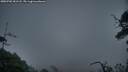 ./images/calvert/fitz-hugh-hecate/20250702/fitz-hugh-hecate20250702_051508M.jpg