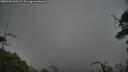 ./images/calvert/fitz-hugh-hecate/20250702/fitz-hugh-hecate20250702_052509M.jpg