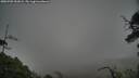 ./images/calvert/fitz-hugh-hecate/20250702/fitz-hugh-hecate20250702_053008M.jpg