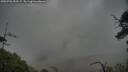 ./images/calvert/fitz-hugh-hecate/20250702/fitz-hugh-hecate20250702_053508M.jpg
