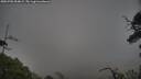 ./images/calvert/fitz-hugh-hecate/20250702/fitz-hugh-hecate20250702_054009M.jpg
