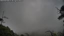 ./images/calvert/fitz-hugh-hecate/20250702/fitz-hugh-hecate20250702_054508M.jpg