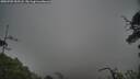 ./images/calvert/fitz-hugh-hecate/20250702/fitz-hugh-hecate20250702_055508M.jpg
