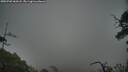 ./images/calvert/fitz-hugh-hecate/20250702/fitz-hugh-hecate20250702_060508M.jpg