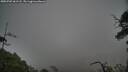 ./images/calvert/fitz-hugh-hecate/20250702/fitz-hugh-hecate20250702_061508M.jpg