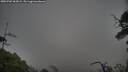 ./images/calvert/fitz-hugh-hecate/20250702/fitz-hugh-hecate20250702_062008M.jpg