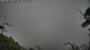 ./images/calvert/fitz-hugh-hecate/20250702/fitz-hugh-hecate20250702_062510M.jpg
