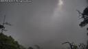 ./images/calvert/fitz-hugh-hecate/20250702/fitz-hugh-hecate20250702_063509M.jpg