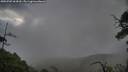 ./images/calvert/fitz-hugh-hecate/20250702/fitz-hugh-hecate20250702_064510M.jpg