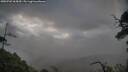 ./images/calvert/fitz-hugh-hecate/20250702/fitz-hugh-hecate20250702_065010M.jpg