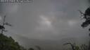 ./images/calvert/fitz-hugh-hecate/20250702/fitz-hugh-hecate20250702_070010M.jpg