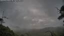 ./images/calvert/fitz-hugh-hecate/20250702/fitz-hugh-hecate20250702_071011M.jpg
