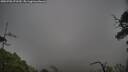 ./images/calvert/fitz-hugh-hecate/20250702/fitz-hugh-hecate20250702_072510M.jpg