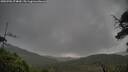 ./images/calvert/fitz-hugh-hecate/20250702/fitz-hugh-hecate20250702_074010M.jpg