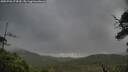 ./images/calvert/fitz-hugh-hecate/20250702/fitz-hugh-hecate20250702_074509M.jpg