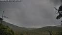 ./images/calvert/fitz-hugh-hecate/20250702/fitz-hugh-hecate20250702_075009M.jpg