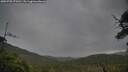 ./images/calvert/fitz-hugh-hecate/20250702/fitz-hugh-hecate20250702_075510M.jpg