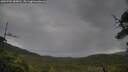 ./images/calvert/fitz-hugh-hecate/20250702/fitz-hugh-hecate20250702_080011M.jpg