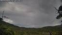 ./images/calvert/fitz-hugh-hecate/20250702/fitz-hugh-hecate20250702_080510M.jpg