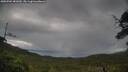 ./images/calvert/fitz-hugh-hecate/20250702/fitz-hugh-hecate20250702_081010M.jpg