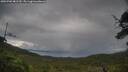 ./images/calvert/fitz-hugh-hecate/20250702/fitz-hugh-hecate20250702_081509M.jpg