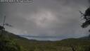 ./images/calvert/fitz-hugh-hecate/20250702/fitz-hugh-hecate20250702_082008M.jpg