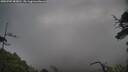 ./images/calvert/fitz-hugh-hecate/20250702/fitz-hugh-hecate20250702_083010M.jpg