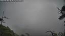 ./images/calvert/fitz-hugh-hecate/20250702/fitz-hugh-hecate20250702_083510M.jpg